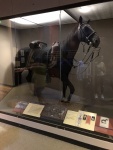 General Sheridan's Horse "Winchester" AKA "Rienzi"
